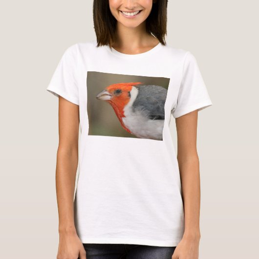 T-shirt Cardinal crêté rouge (Devant)