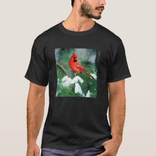 T-shirt Cardinal du Nord mâle sur un arbre, IL