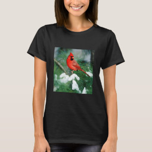 T-shirt Cardinal rouge mâle sur un arbre, IL