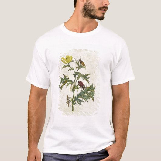 T-shirt Cardos Spinosus : Scarabées et chenilles, plat 6 (Devant)