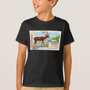 T-shirt Caribou vintage (rennes) et renard arctique