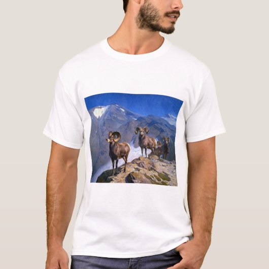 T-shirt Carl Rungius Big Horn Sheep sur Wilcox Pass (Devant)