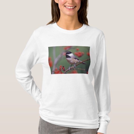 T-shirt Carolina Chickadee (Devant)