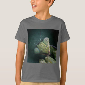T-Shirt - Carrelage Mantis