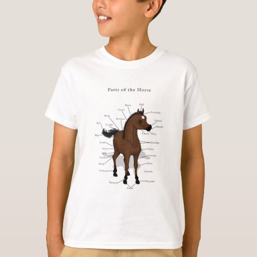 T-shirt Carte d'anatomie du cheval sur le poulain de la ba (Devant)