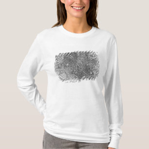 T-shirt Carte de Rome, 1579
