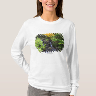 T-shirt Cascade brouillée de roche, arbres verts et