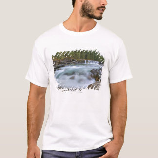 T-shirt Cascade en rivière de moutons en montagnes