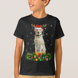 T-shirt Casquette des Rennes de Noël Père Noël Labrador Ch