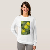 T-shirt Castilléjie dorée indienne (Devant entier)