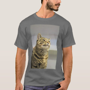 T-shirt Cat