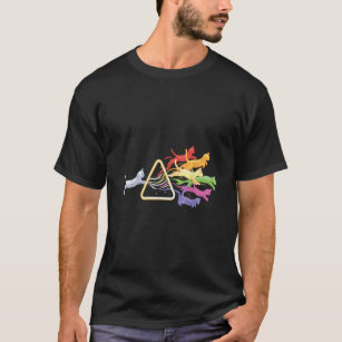 T-shirt Cat Prism Rainbow Light Funny Physic Science Spéci