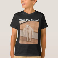 Ce Sigma Mème Chat Mème Internet Mèmes Drôle Mème
