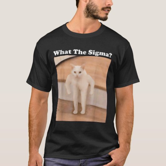 T-shirt Ce Sigma Mème Chat Mème Internet Mèmes Drôle Mème (Devant)
