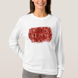 T-shirt Cellules de Sclerenchyma d'un puits de cerise