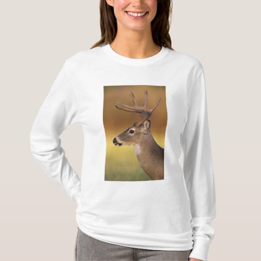 T-shirt Cerf à queue blanche, Odocoileus virginianus, (Devant)