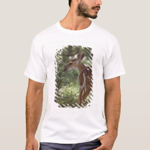 T-shirt Cerf de Virginie, Odocoileus virginianus