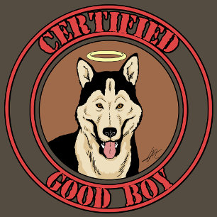 T-shirt Certifié Good Boy