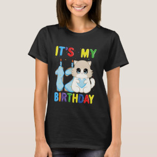 T-shirt C'est mon 12ème anniversaire garçon chat Ragdoll d