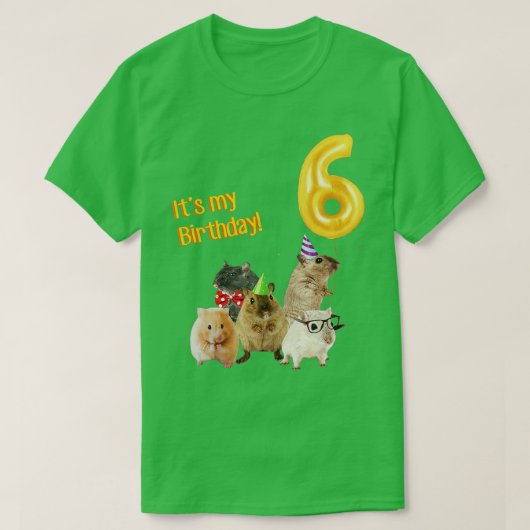 T-shirt C'est mon Anniversaire 6ème mignon Hamster (Design devant)