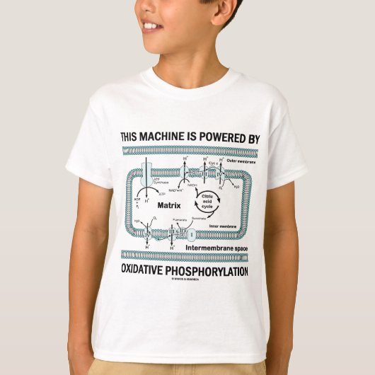 T-shirt Cette Machine Alimentée Par La Phosphylation Oxida (Devant)
