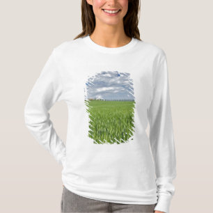 T-shirt Champ de blé et allée bordée de cyprès majestueux