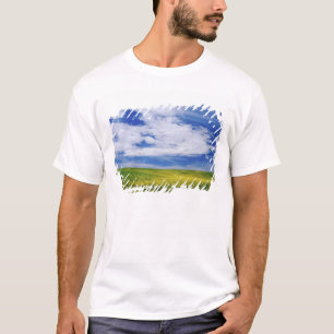 T-shirt Champ de fleurs de canola ou de moutarde, Palouse