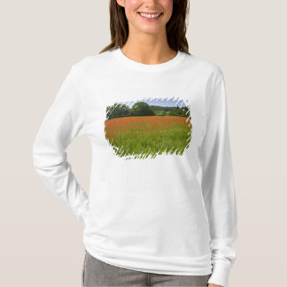 T-shirt Champ de pavot, Chiusi, Italie