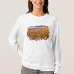 T-shirt Champ d'orge en maturation le long des montagnes R