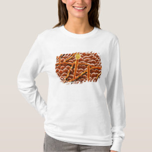 T-shirt Champignon de rouille pulvérulente sur la