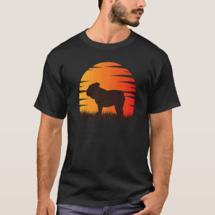 T-shirt Championnat d'Angleterre de football rétro 74