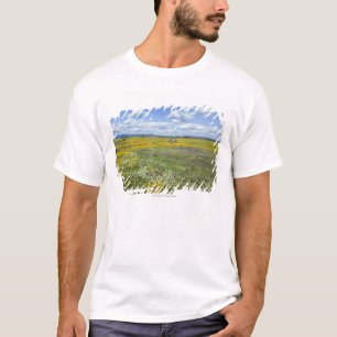 T-shirt Champs dans le printemps près de Guadalupe