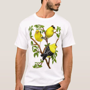 T-shirt Chardonnerets américains dans la chemise de vigne