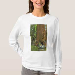 T-shirt Chariot de cheval sous un séquoia géant