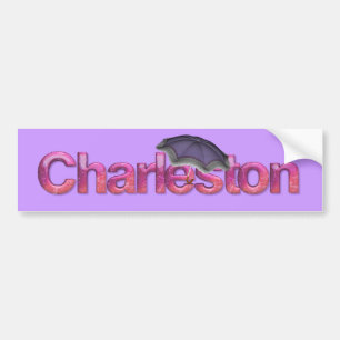 T-SHIRT Charleston Bumpersticker