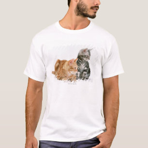 T-shirt Chat 2 de Shorthair d'Américain