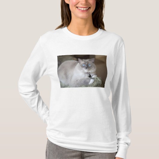 T-shirt Chat à poupée femelle (Devant)