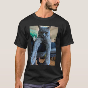 T-shirt Chat britannique Shorthair Kitty Lay Hanging