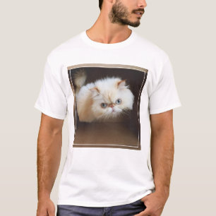 T-shirt Chat dans une boîte