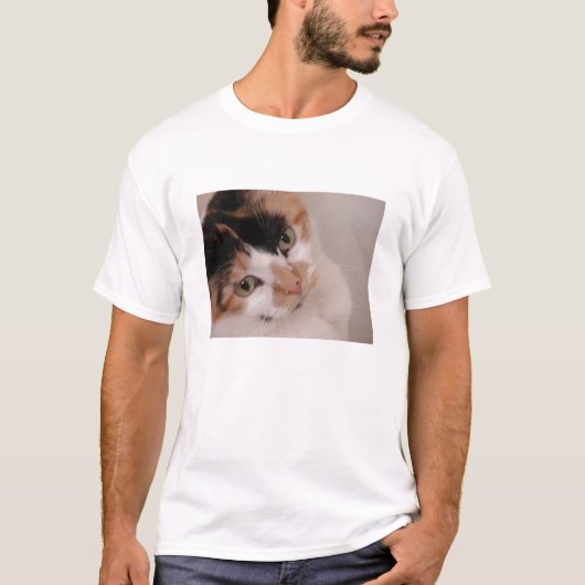 T-shirt Chat de beauté calico (Devant)