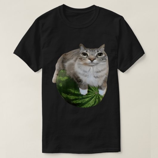 T-shirt Chat de pastèque | Mème amusant Kitty Art (Design devant)