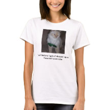 Chat déçu, aucun gâteau