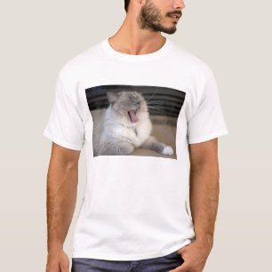 T-shirt chat Neva Masquerade bâillant
