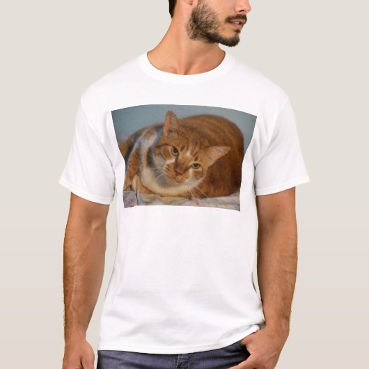 T-shirt Chat orange et blanc (Devant)