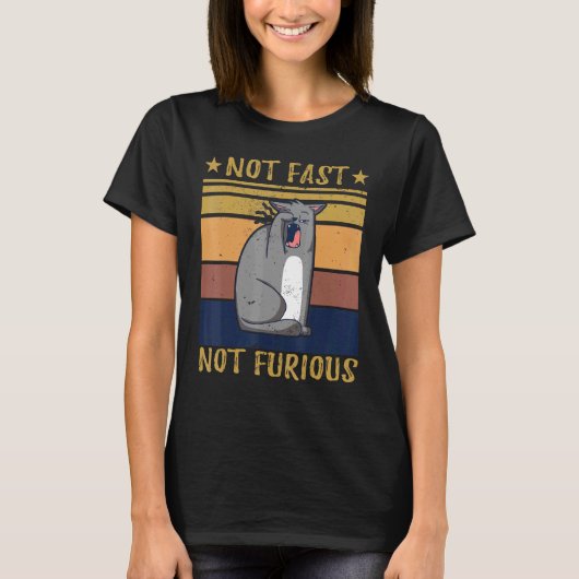 T-shirt Chat pas rapide pas furieux (Devant)