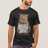 Chat Vêtements Mes Padas Pieds puants Causés Catat