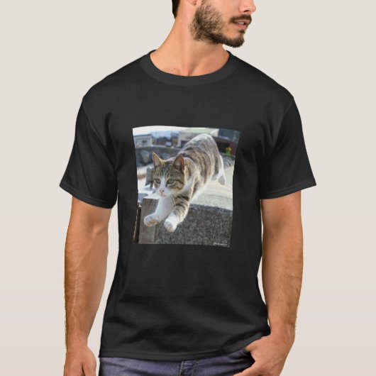 T-shirt chat volant2_001 (Devant)