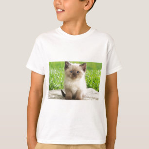T-shirt Chaton innocent de Ragdoll