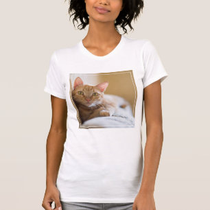 T-shirt Chaton se trouvant sur le divan