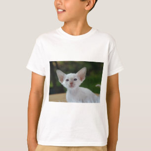 T-shirt Chaton siamois super mignon